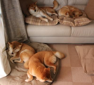 开云中国-AI分析让比赛更激烈：智能算法助力战术优化，ai智能算法是什么